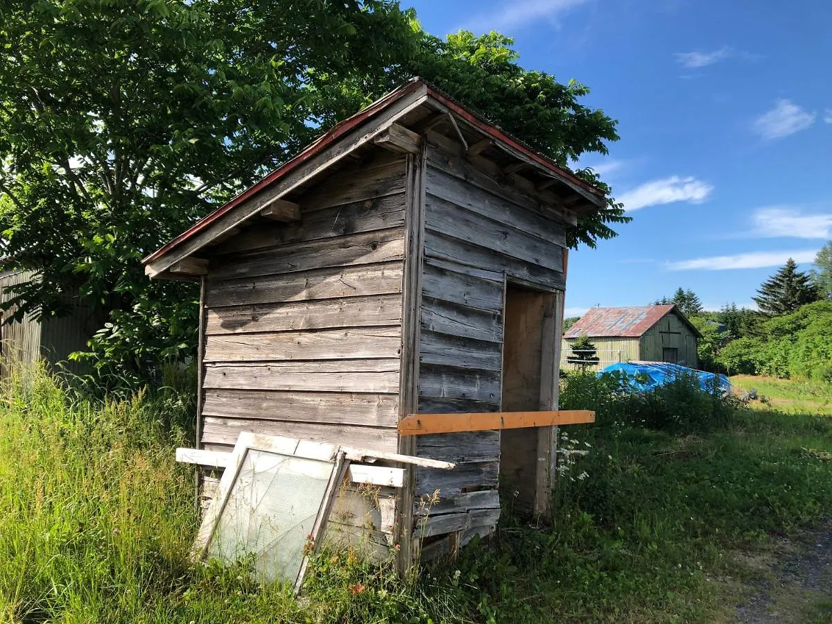 Poor And Shabby Guesthouse 